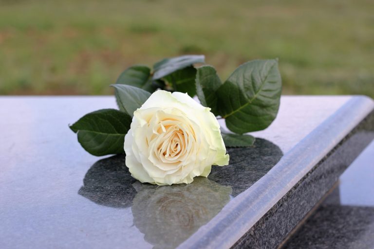 A rose for every grave in Mierlo’s defaced cemetery