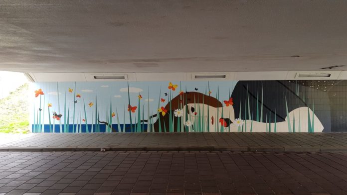 Street art in Eindhoven