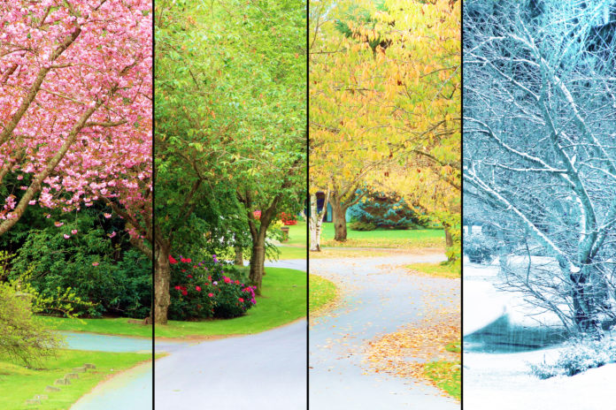 landscape in four seasons