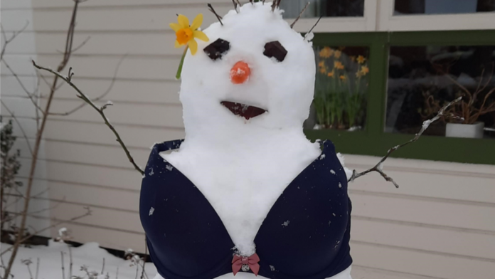 Van Maerlantlyceum, snowman