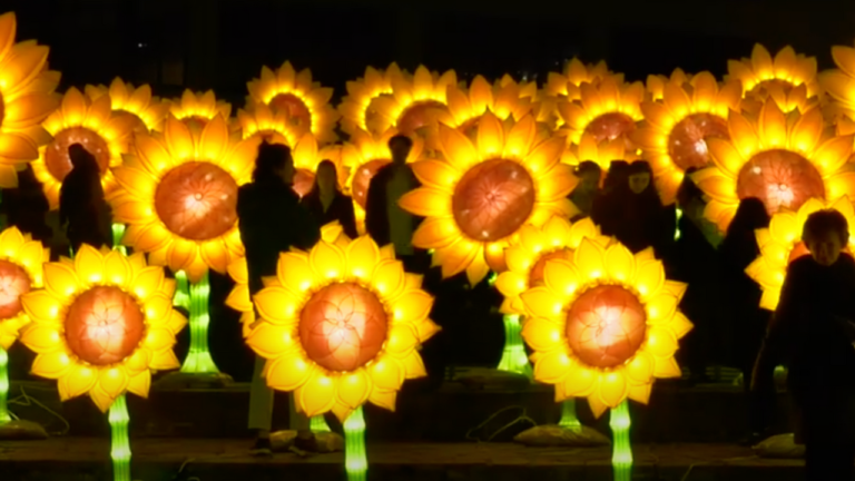 Illuminated sunflowers inspired by Van Gogh to go on display in Nuenen