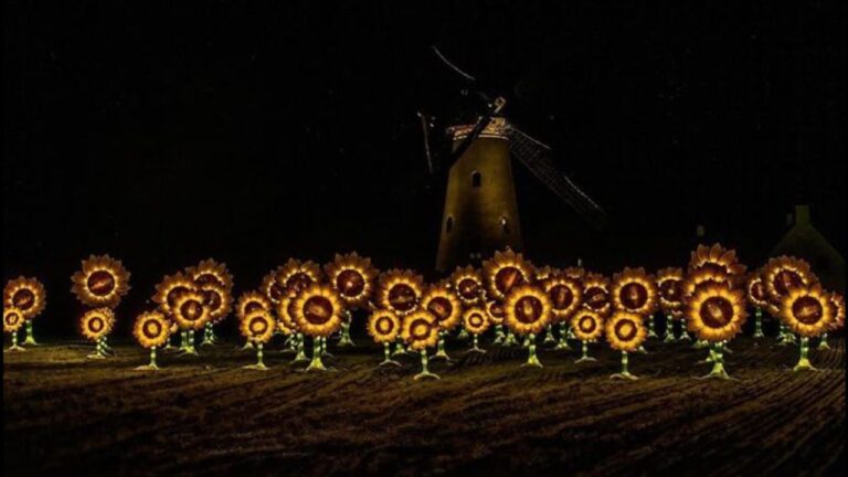 Nuenen very proud of illuminated Van Gogh sunflowers
