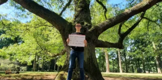 Giel Boes silence for trees