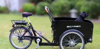 Eindhoven Municipality- Bakfiets