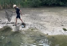 Rescuing fish