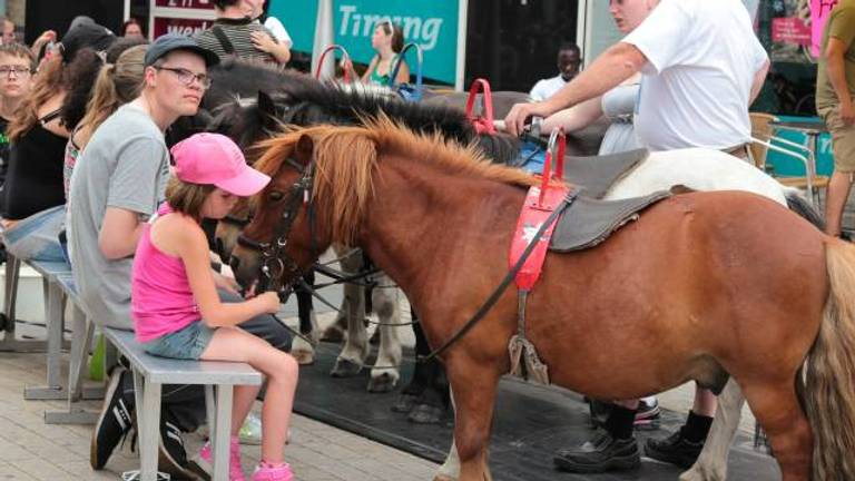 Animals no longer welcome at Tilburg fair