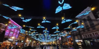 Eindhoven Glow Light Display