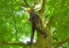Dutch champion tree climbing Harrie Verbeek from Waalre
