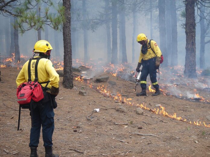 Risk of forest fires increase