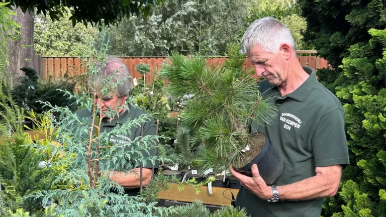 Conifer grower Henk receives prestigious prize