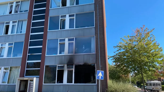 Daria escaped apartment fire Offenbachlaan