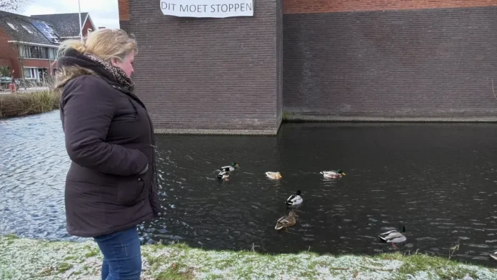 Marion from Geldrop on the beat for ducks in the canal