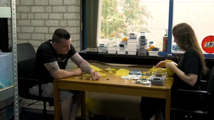 Tammy and Joey find a goldmine in Lego