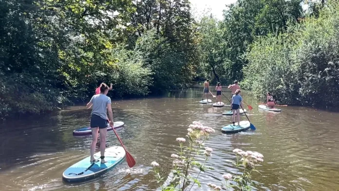 The Dommel is a lifeline in the region, but biodiversity is under pressure