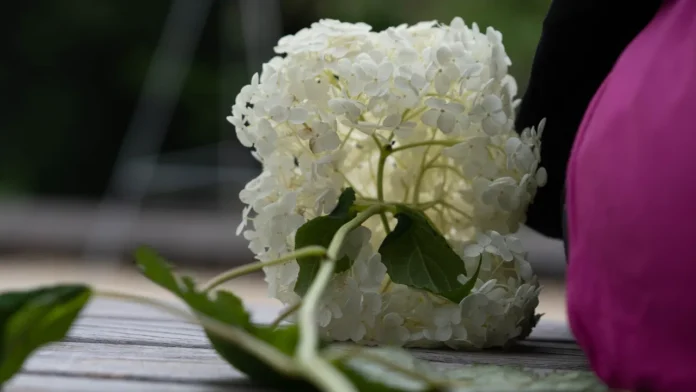 Flowers laid at Indies monument Geldrop