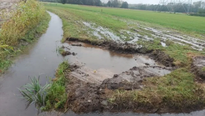 Water board De Dommel can continue with the construction of a nature zone in Nuenen