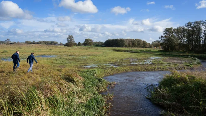 Sailing ban on the Dommel due to branches and trees in the water